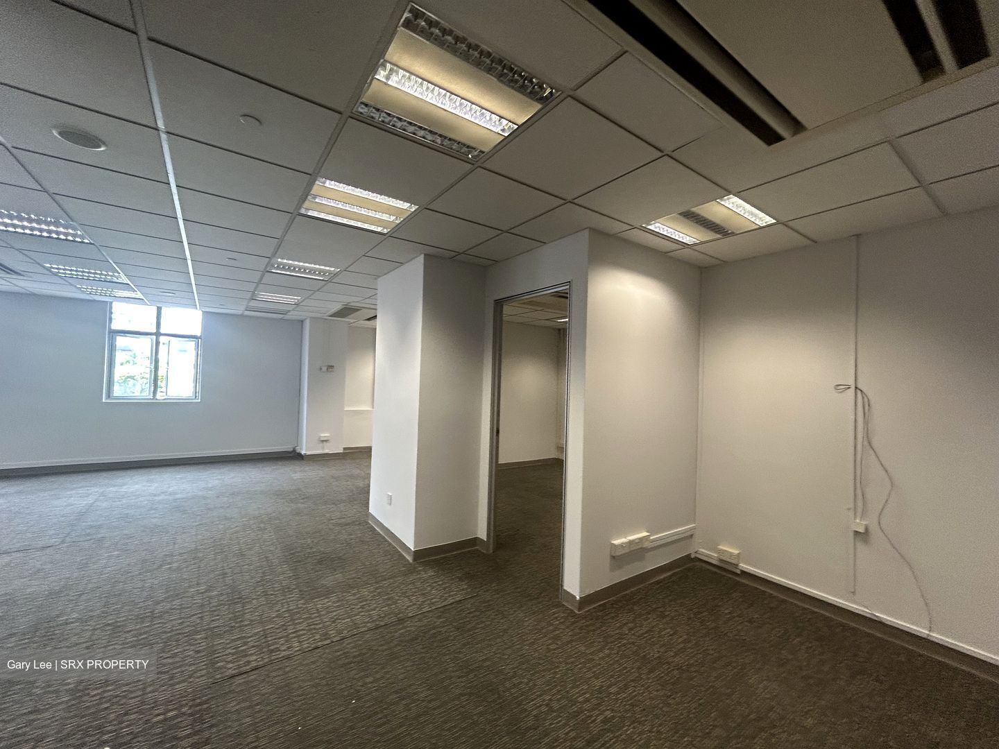Tan Chong Tower (D7), Office #569900331
